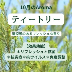 line_oa_chat_250926_134406
