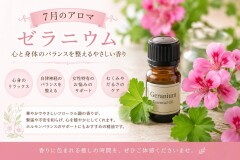 line_oa_chat_260616_154708