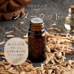 line_oa_chat_260807_150513