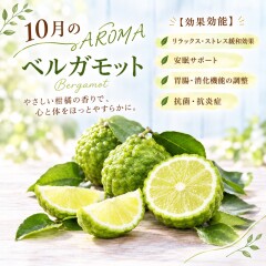 line_oa_chat_260908_104126